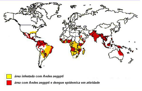 A dengue no mundo. A Doença: