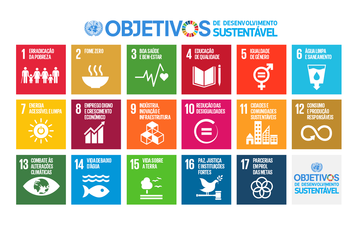 O que é a Agenda 2030 das Nações Unidas e quais são os Objetivos de  Desenvolvimento Sustentável -