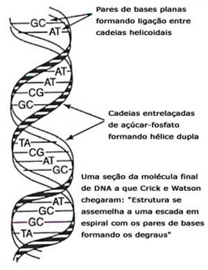 Com Ciência - Patrimônio Genético