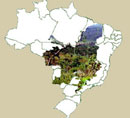 Labjor<br><br>Editores:<br>Cristina Caldas<br>Germana Barata<br>Rodrigo Cunha<br><br> Labjor<br><br>Editores:<br>Cristina Caldas<br>Germana Barata<br>Rodrigo Cunha<br><br>