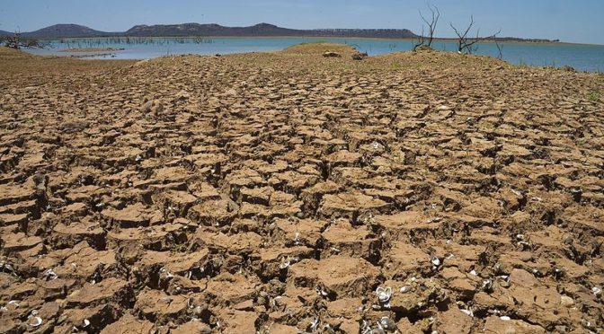 Efeitos da biodiversidade sobre o clima ainda são incertos