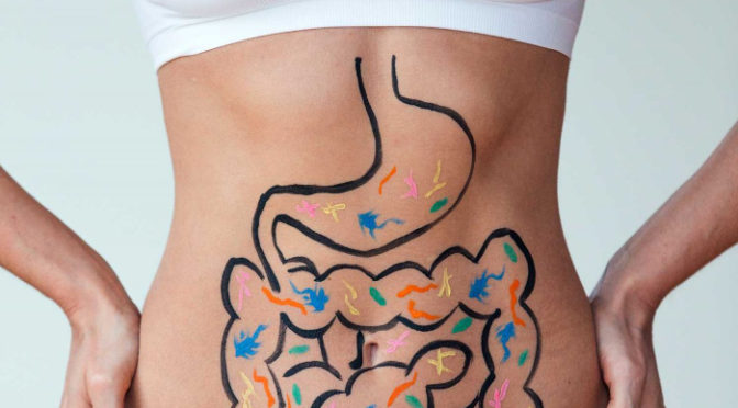 Microbiota intestinal e sua relação direta com a qualidade de vida