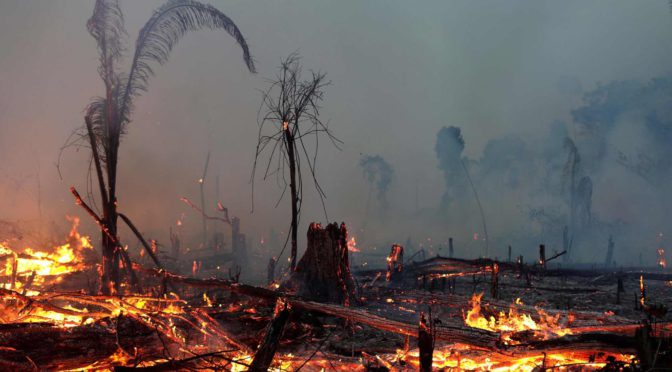 Clique aqui para ler todo o conteúdo do dossiê Crise Climática