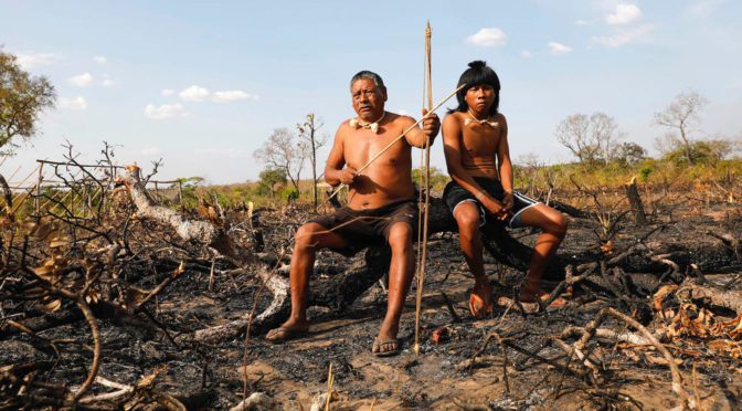 Como populações tradicionais ao redor do mundo percebem e são afetadas pelas mudanças climáticas?