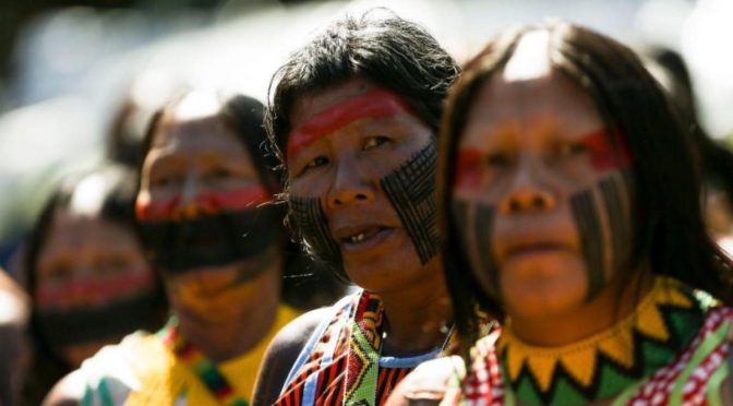 Assegurar o direito à terra é essencial para proteger a rica diversidade cultural e biológica dentro das Terras Indígenas