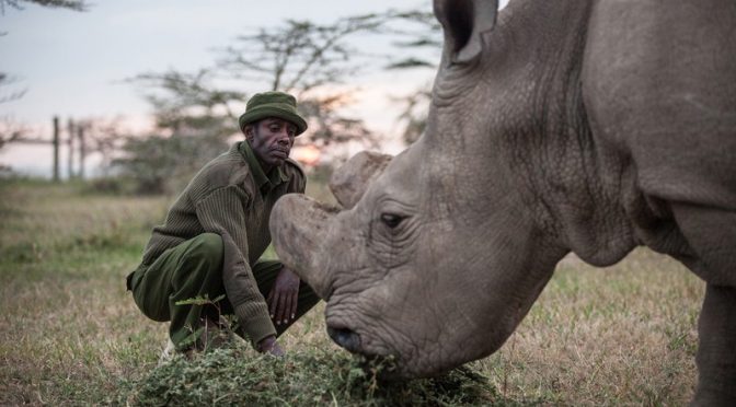 Menos que 20 extinções por ano: será que o mundo precisa de uma meta única para a biodiversidade?