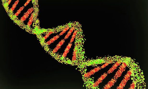 DNA dos brasileiros carrega marcas da colonização