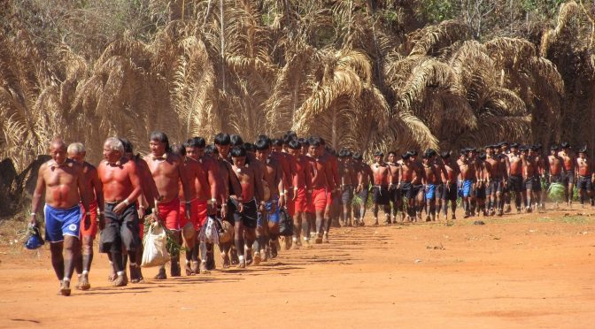 Linguística histórica reconstrói línguas indígenas ancestrais