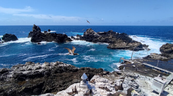 Arquipélago de São Pedro e São Paulo, no Oceano Atlântico (Foto: Lucas Nunes)